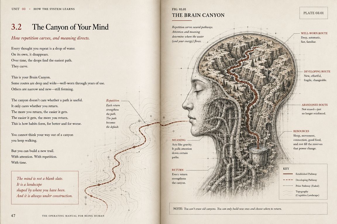 Two facing pages. The left page carries the writing in short lines and closes on a ruled quotation: the mind is not a blank slate, it is a landscape shaped by where you have been. A single watercourse runs out of the text across contour lines and onto the right page, where a head in profile opens to show a canyon landscape carved by rivers. Four short notes name a well worn route, a developing route, an abandoned route, and the things that give a person the energy to change.